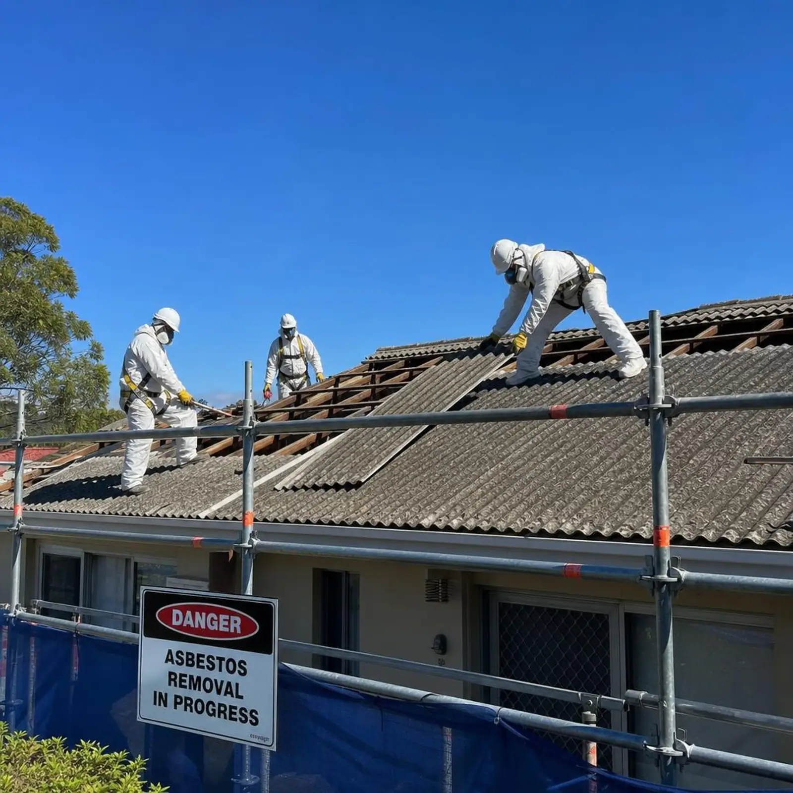 Licensed removalists working on an older asbestos cement roof